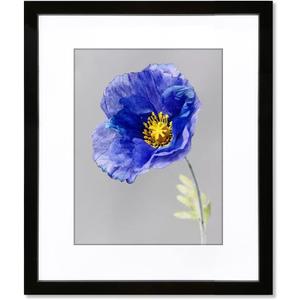 VNVNK 20x24 Frame Black, Perfect for 20x24 Inch Picture without Mat or 16x20 Inch Picture with Mat, Home Wall Decor Picture Frame-1 PCS