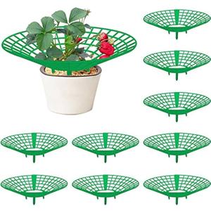 codree 10 Pack Strawberry Plant Supports, Strawberry Plant Stand with 3 Sturdy Legs, Strawberry Growing Racks, Strawberry Growing Frame, Protecting Strawberry Plants from Mold, Rot and Dirt, Green