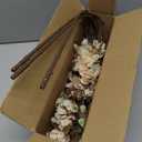 HyeFlora 3PCS Artificial Magnolia Flowers Stems for Spring Decoration, Faux Champagne Magnolia Branches with Buds, 34.5" Long Stems Floral Arrangement for Vase Pot Table Centerpiece Indoor Decor