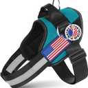 Essential Dog Harness with 3 Leash Clips - No-Pull, Adjustable, Comfortable Pet Vest Harness for Small to Large Dogs - Easy On, No Choke, Reflective, Padded Harness for Walking and Training (S(Neck:14-18",Chest:16-21"), Turquoise)