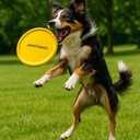 4 x Dog Frisbee  Soft Rubber Flying Disc Toy for Small Dogs, 9 Yellow  Safe, Lightweight & Fun