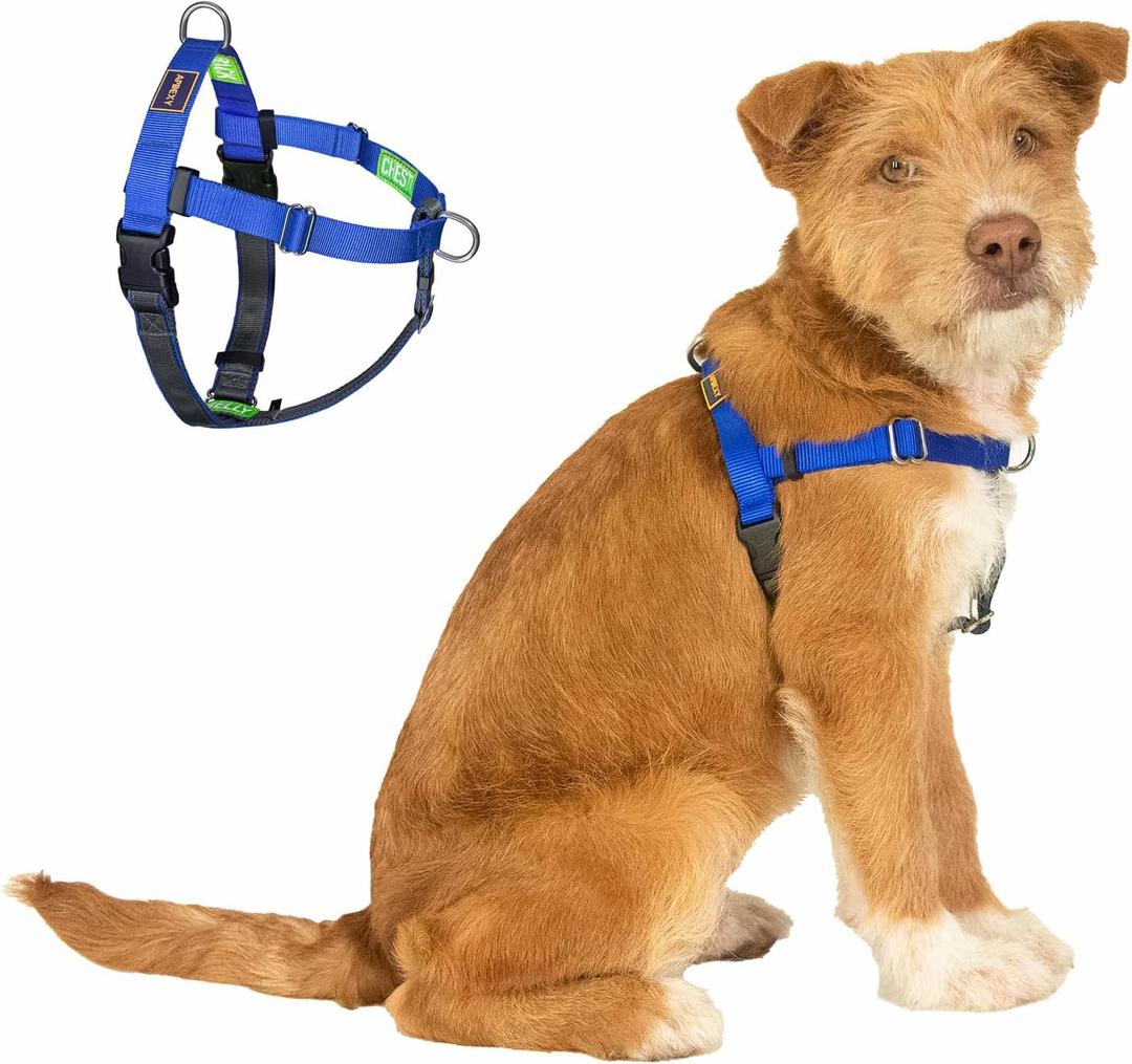 Easy Walk No Pull Dog Harness, Freedom Walk with Front and Back Clips Stainless D-Rings, Comfortable, Sewn-in Instructions Tags for Easy Use, for Medium Dogs Weight 30-39lbs (Blue, M)