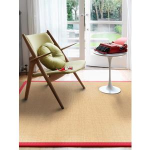 Fz Pet JUTE RED BORDER 2x8 Runner