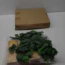 2 Pieces Cat Wall Shelves with 4 Steps Wall Mounted Cat Shelves and Perches Cat Wall Furniture for Cats Kitten Kitty Indoor Living Room Climbing Scratching Playing and Relaxing Playground