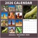 4 x 2026 Wall Calendar, 2026 Funny Calendar, Nature's D'ck Pics Calendar, 12 Months from Jan 2026 - Dec 2026, 12" x 24" Open, Thick Paper, Moon Phases, Holidays, Perfect Gag Gifts, White Elephant Gifts