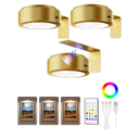 EZVALO Picture Lights for Wall, 2000mAh Rechargeable Battery Magnetic Poster Lights with 3 Color Temps & 12 RGB, Remote Dimmable Timer Painting Light, Wall Decor Light for Art Display, Frame (3 Pack)