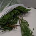 4 Pcs 9 Ft Artificial Norfolk Pine Garlands, Real Touch Norfolk Pine Garland, Realistic Natural Christmas Greenery for Table, Mantle, Wall, Indoor, Outdoor Christmas Holiday Decorations (4, 9 FT)