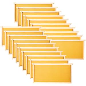 MayBee 20 Pack Honey Bee Frames with 100% Beeswax Coated Food Grade Foundation Sheets, Complete Unassembled Deep Beehive Frames and Foundations