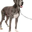 PetSafe Gentle Leader No-Pull Dog Headcollar - The Ultimate Solution to Pulling - Redirects Your Dog's Pulling for Easier Walks - Helps You Regain Control - X-Large, Black