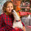 5 x Snowman Christmas Tree Christmas Dog Collar for Large Dogs - Premium Adjustable Soft Dog Christmas Collar (1 Pcs Christmas Red)