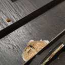 Sauder HomePlus Wardrobe/Pantry cabinets, L: 28.98" x W: 20.95" x H: 71.18", Dakota Oak finish