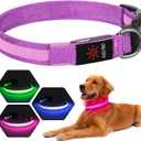 LED Dog Collar USB Rechargeable - Light Up Dog Collar Safety Pet Collars with Lights for Night Walking, Camping (Pink, M)