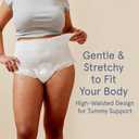 LOLA Postpartum Underwear, 10 Count