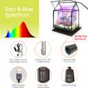 Plant Terrarium Kit with Grow Light, Rifny Small Glass Terrarium Jar with Absorbent Mat and Lid for Venus Fly Trap Succulent Live Air Plants Indoor Home Office Decor (Black, 7.1 x 4.8 x 8.8 inch)
