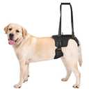 OneTigris Victus Support Harness,Lightweight & Simple Mobility Assistance Vest with Grab Handle | Pet Lifting Rehabilitation Gear | Rear Leg Support Straps, L