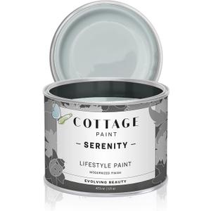 Serenity Silk All-in-One Mineral Chalk Paint for Furniture, Home Decor, Cabinets and DIY Crafts - Built-in Topcoat - (16oz, Juniper)