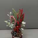Tabletop Christmas Mistletoe Tree with 2 Pine Cones, 3 Red Balls, 3 Berry Stems & Candy Cane - 12.6in Buffalo Plaid Burlap-Wrapped Base, Artificial Mini Holiday Decor for Indoor Tables