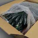 Artificial Palm Tree Christmas Tree 7Ft 3Trunks 260LED Lighted Simulation Tropical Palm Tree Fake Plant Light for Patio Home Office Beach Yard Cruise Hawaiian Party Tiki Bar Decorations - Electric