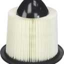 Bosch Workshop Air Filter 5283WS (Ford, Lincoln)