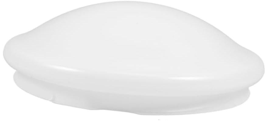 Ceiling Lamp Shade Cover Flush Mount Ceiling Light Shade Replacement for Chandelier and Pendant Lights