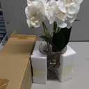 Jusdreen Artificial Orchid Centerpiece with Glass Vase, 14.5 Inch Lifelike Phalaenopsis Bonsai for Home Office Table Decor, White Orchid Arrangement with Potting