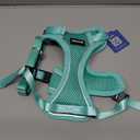 Kazylab Cat Harness and Leash for Walking, Escape Proof Soft Adjustable Vest Harnesses for Cats, Easy Control Breathable Reflective Strips Jacket, Emerald, Medium