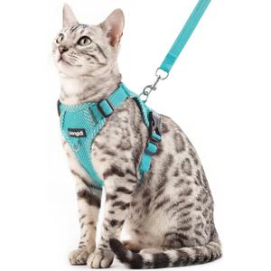 Cat Harness and Leash Escape Proof Extra Large Kitten Harness Maine Coon Cat Vest for Walking Travel, Turquoise, XL