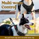Rabbitgoo Dog Harness Medium Sized, No Pull Dog Vest with 3 Buckles, Adjustable Soft Padded Pet Harness with Easy Control Handle and Reflective Strips, Black, M