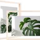 Egofine 9x12 Floating Frames Set of 2, Double Plexiglass Picture Frame, Made of Solid Wood Display Any Size Photo up to 9x12, Wall Mount or Tabletop Standing, Beige