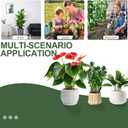 Monstera Plant Support, Durable Iron Plant Stem Supports, Plant Stabilizer & Holders for Indoor Plants, 8 Pack