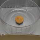 Niteangel Super-Silent Hamster Exercise Wheels: - Quiet Spinner Hamster Running Wheels with Adjustable Stand for Hamsters Gerbils Mice Or Other Small Animals (L, Transparent)