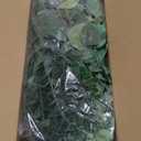 Cliselda 100pcs Artificial Eucalyptus Leaves Stems, 5 Kinds Mixed Fake Greenery Stems Bulk, Silver Eucalyptus Bundle Greenery Branches for Wedding Floral Bouquet Arrangement Centerpiece Decoration