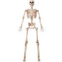 JOYIN 6.9 FT Halloween Posable Life Size Skeleton, Full Body Realistic Skeleton Bones with Movable Joints for Halloween Indoor Outdoor Party Decoration, Spooky Scene Prop, Haunted House Decor