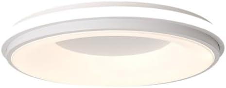 Color Ceiling Light Set Minimalist Industrial Flat Panel Light Low Profile Ceiling Lamp 1 Pack Round Ceiling Light Fixture for Kitchen Bedroom Garage Laundry Stairwell Closet(White,30cm)