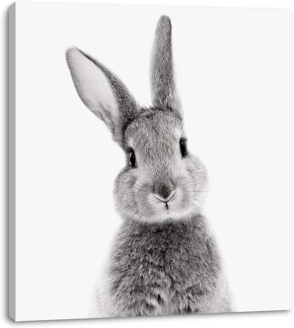 2 x daktenn Bunny Wall Art Lovely Rabbit Posters for Baby Room Easter Artwork Nursery Wall Decor Easter Wall Art Rabbit Pictures Wall Decor Bunny Pictures for Bathroom Bedroom 14x14 Inches