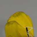 Morph Hulk Hogan Costume, Hulk Hogan Costume Adult, WWE Hulk Hogan Costume, M