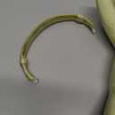 Frog Garden Statue Relaxing Resin Yard Decor, Whimsical Yard Figure, Porch Statue, Outdoor Zen Garden Decor, Larger Size 12" x 7.5", Patio, Landscaping for Mom, Art Lover Collector