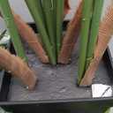 6FT Artificial Palm Tree, Tall Faux Palm Tree Indoor with Black Fake Plants Tall, Artificial Plants with Lifelike Leaves for Home Office Decor (Black)