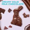 Russell Stover Milk Chocolate Easter Rabbit, 7 oz. (EXP 08/01/26)