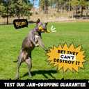Indestructible Stick Dog Toy - Lifetime Replacement - Durable Chew Toy for Aggressive Chewers - Safe Non-Toxic Natural Rubber - Chew Tug & Fetch - Tough, Heavy Duty - Med/Large Breed, 8x2