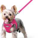 rabbitgoo Dog Harness Small Sized and Leash Set, Step in Soft Light Puppy Vest, Breathable Mesh Pet Harness, Reflective for Safe Easy Walking, Rose Red, (XS (Chest: 13.3 - 15.5"))