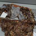 SHENHE Women's Skirt Set Y2k 2 Piece Outfits Leopard Halter Backless Top and Animal Ruffle Mini Skirt Sets (Medium, Brown)