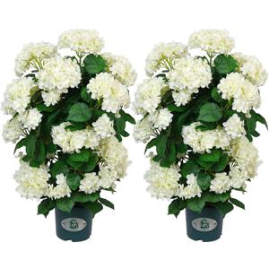 QIANYUN Faux Hydrangea Tree 30" Tall (2 Pack), Artificial Hydrangea Plant in Pot with White Flowers, Realistic Hydrangea Tree for Indoor Outdoor Porch, Patio, Home Decor