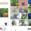 Delightful Dogs By Alex Clark Dog Calendar 2026 Monthly Wall Calender 12 Month | American Made In The USA