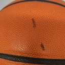 Wilson Evolution Basketballs, Size 7 - 29.5"