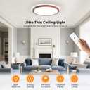 BLNAN LED Flush Mount Ceiling Light Fixture with Remote Control, 15.4 Inch 3000K-6500K Dimmable Round Low Profile Ceiling Lamp for Living Room Bedroom Kitchen