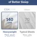 Extra Thick Heavyweight Queen Size, Embroidery Sheet Set - Light Blue