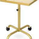 Salon Rolling Tray Hair Stylist Tray Cart, Tattoo Tray Dental Tray Adjustable Height, Metal Service Tray Trolley, Medical Storage Tray Cart Rolling Trolley (Champagne Gold)