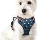 Rabbitgoo Dog Harness No Pull with 2 Leash Clips, Adjustable Soft Padded, Reflective Oxford No Choke Pet Vest with Easy Control Handle for Large Dogs, Blue Star, XS