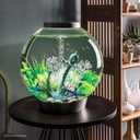 BiOrb Classic 60L Acrylic 16-Gallon Aquarium with White LED Lights Modern Tank for Tabletop Display, Silver